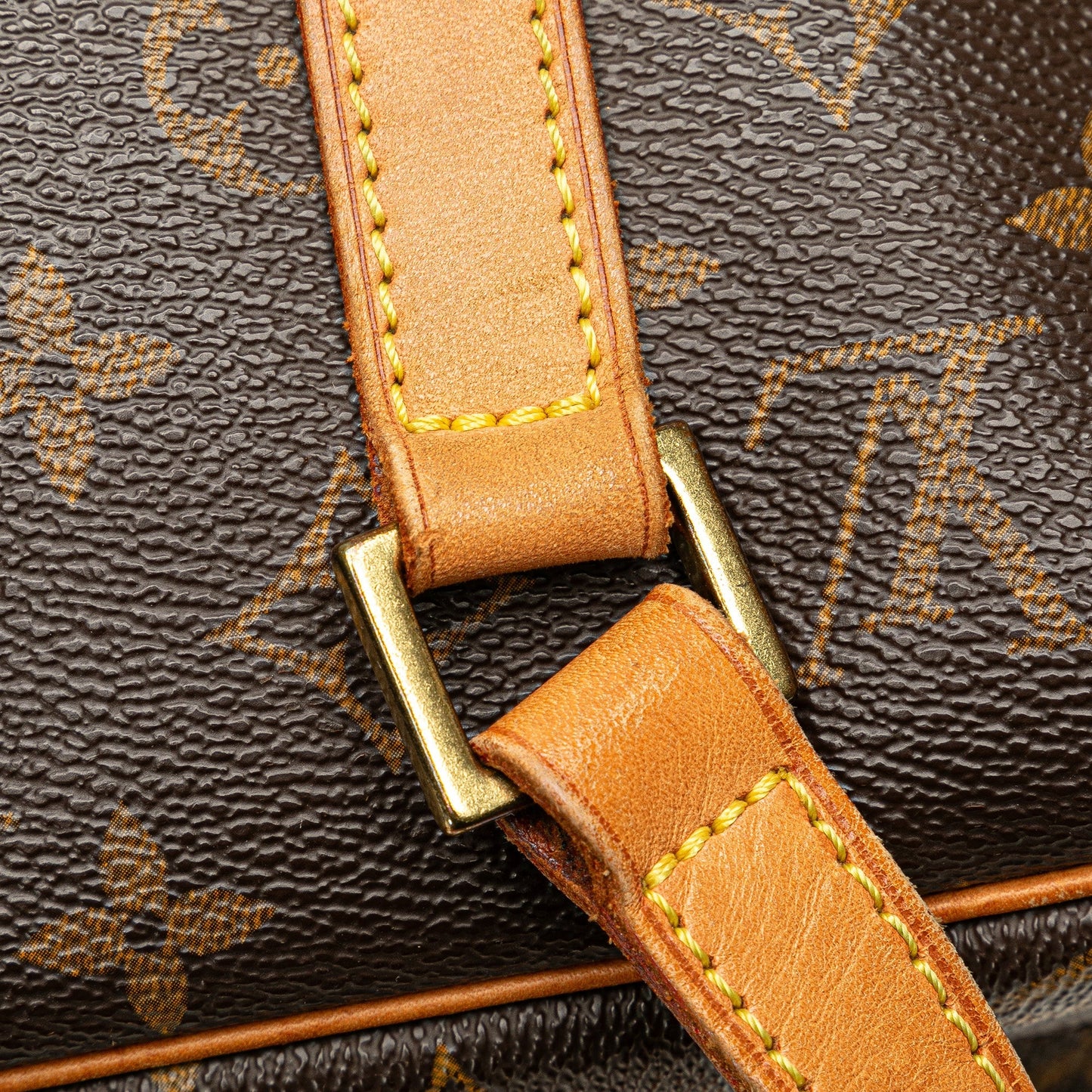 Louis Vuitton Monogram Cite GM Brown