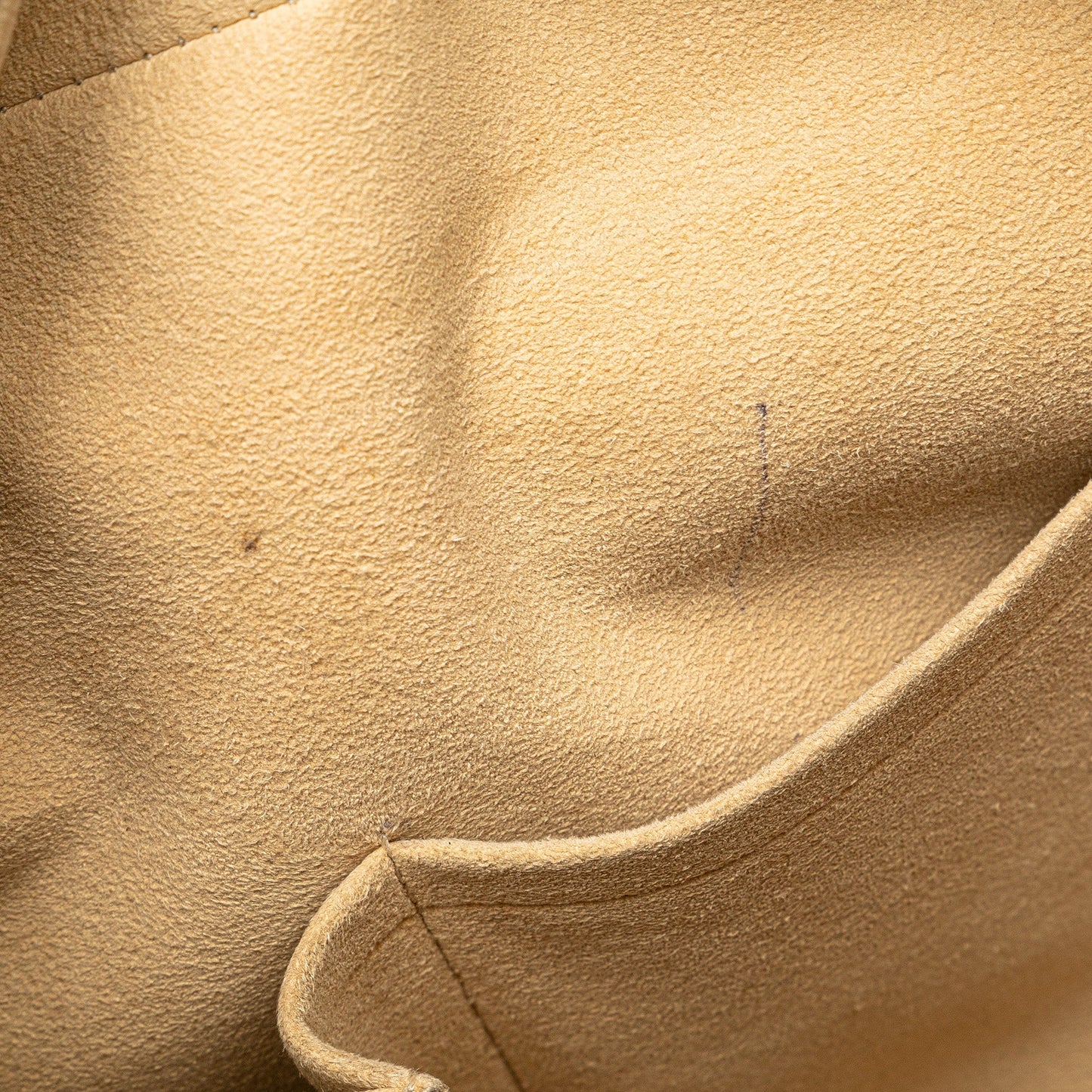 Louis Vuitton Monogram Cite GM Brown