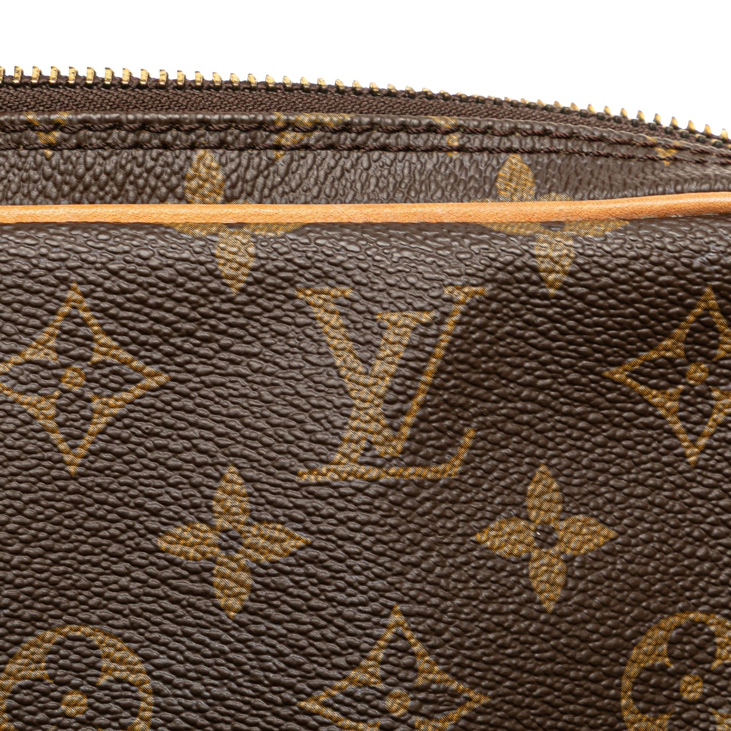 Louis Vuitton Monogram Marly Dragonne PM Brown