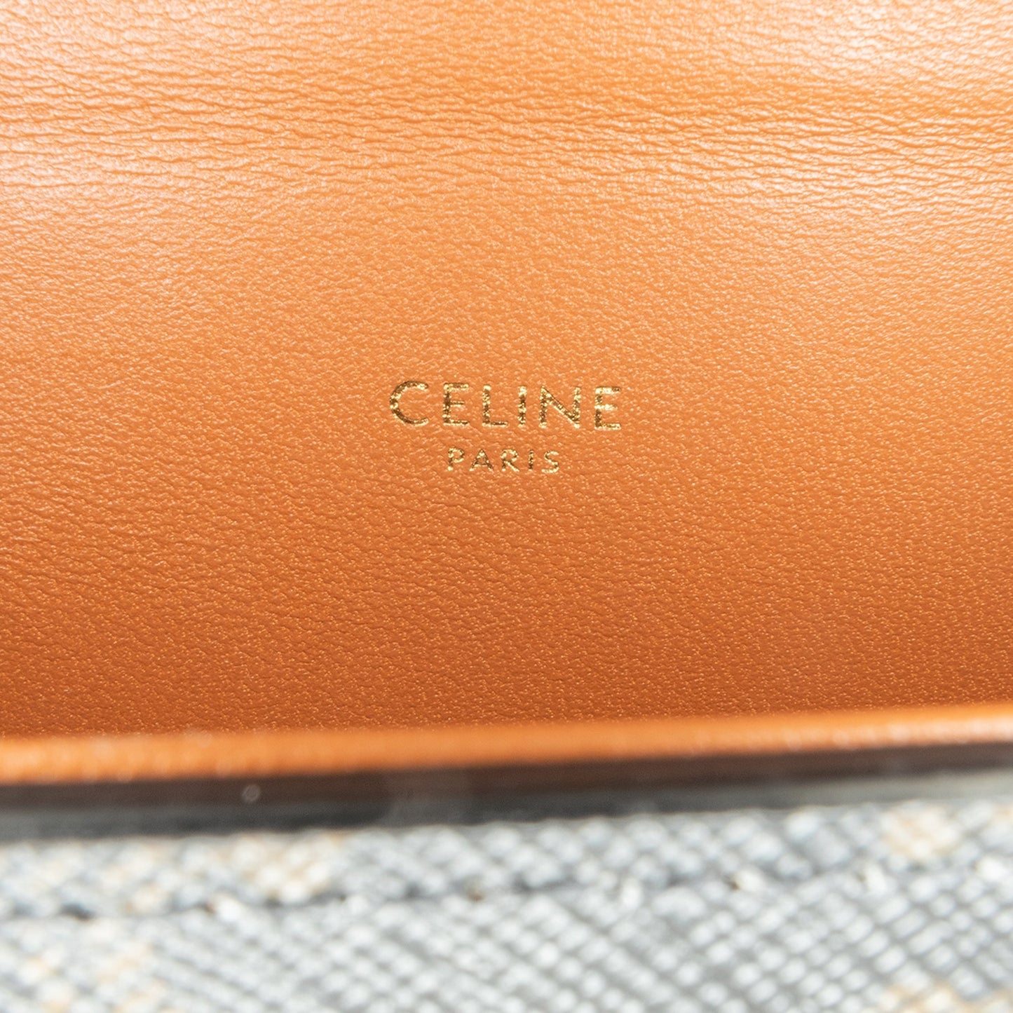Celine Triomphe Coated Canvas Box Top Handle Bag Brown
