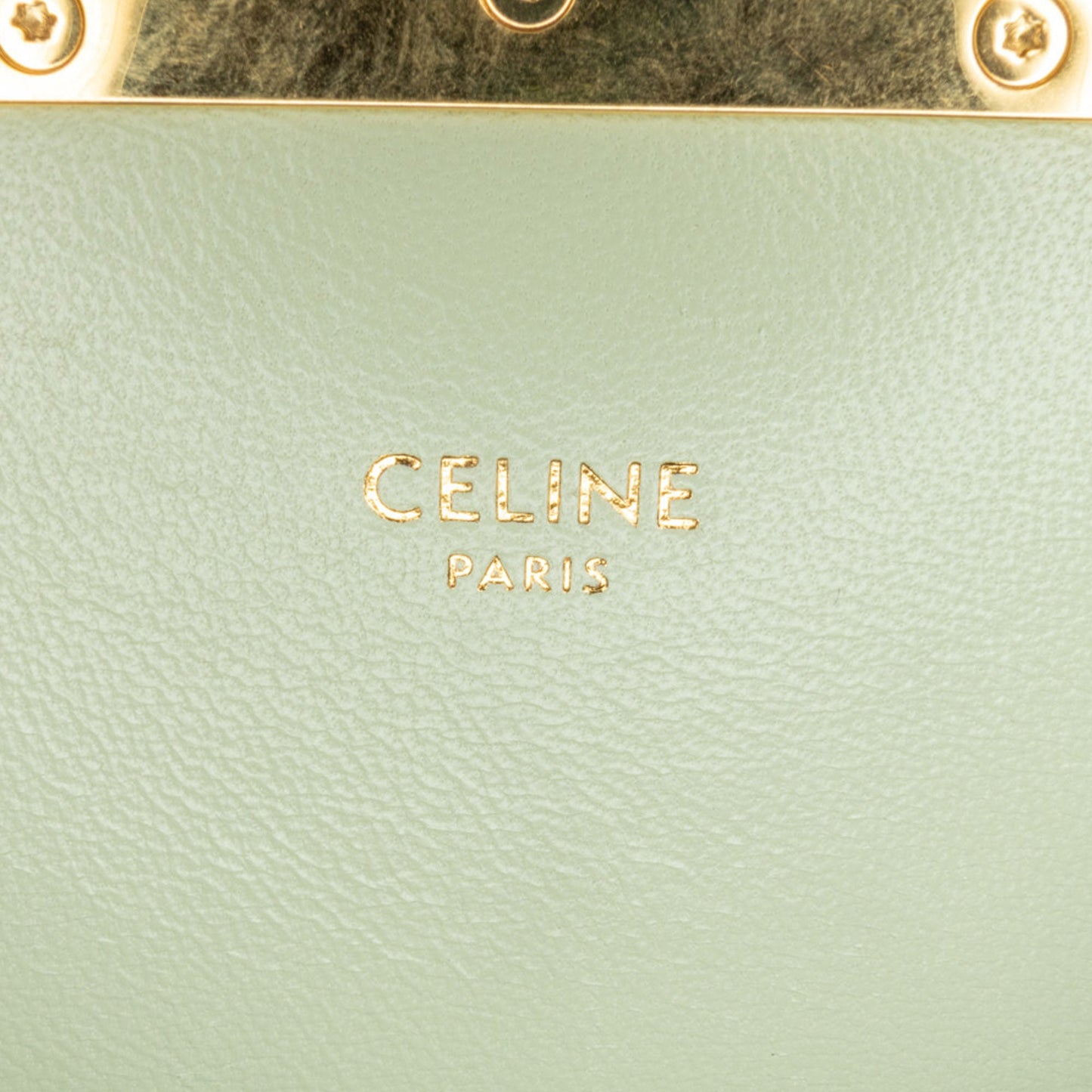 Celine Teen Coated Canvas Triomphe Crossbody Brown