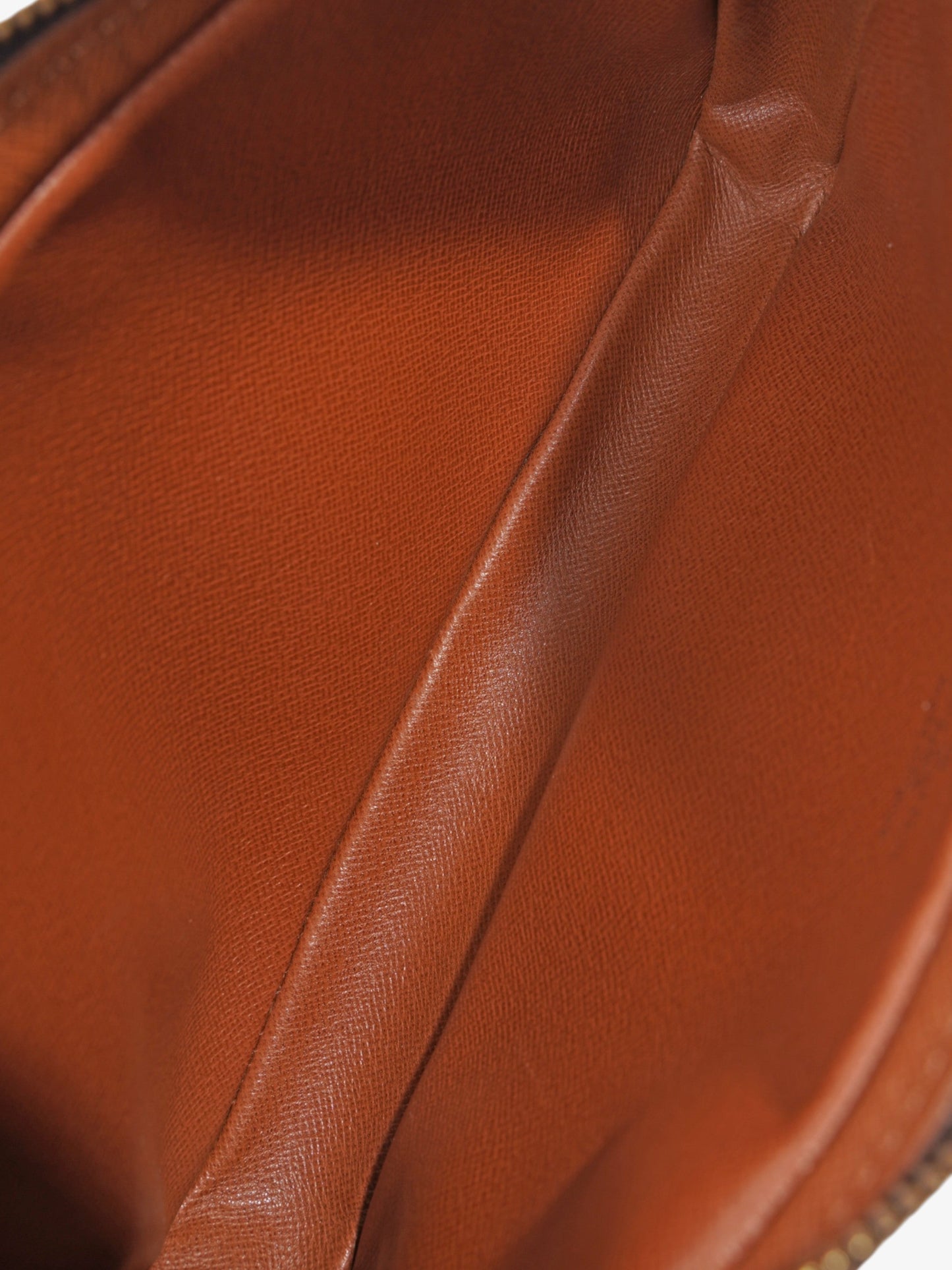 Louis Vuitton Marly Dragonne Monogram Coated Canvas