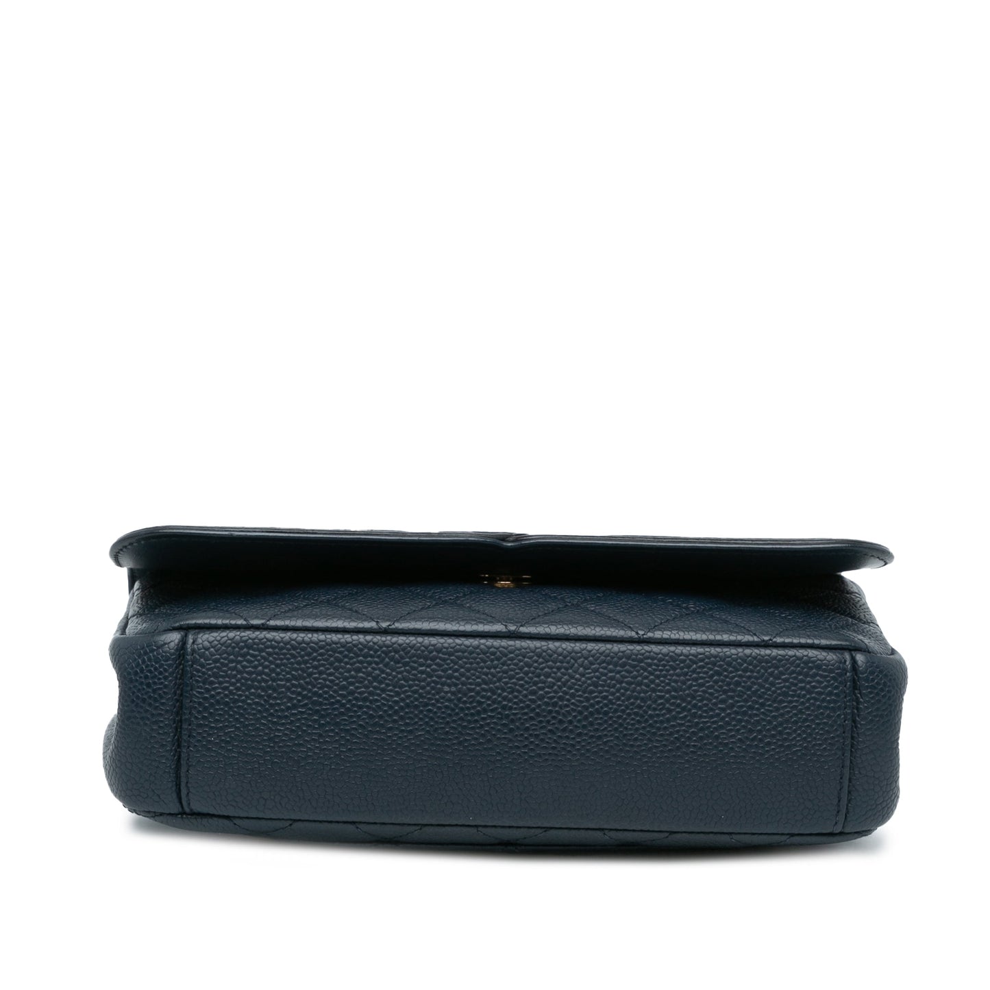 Chanel Small Bicolor Caviar CC Filigree Flap Blue