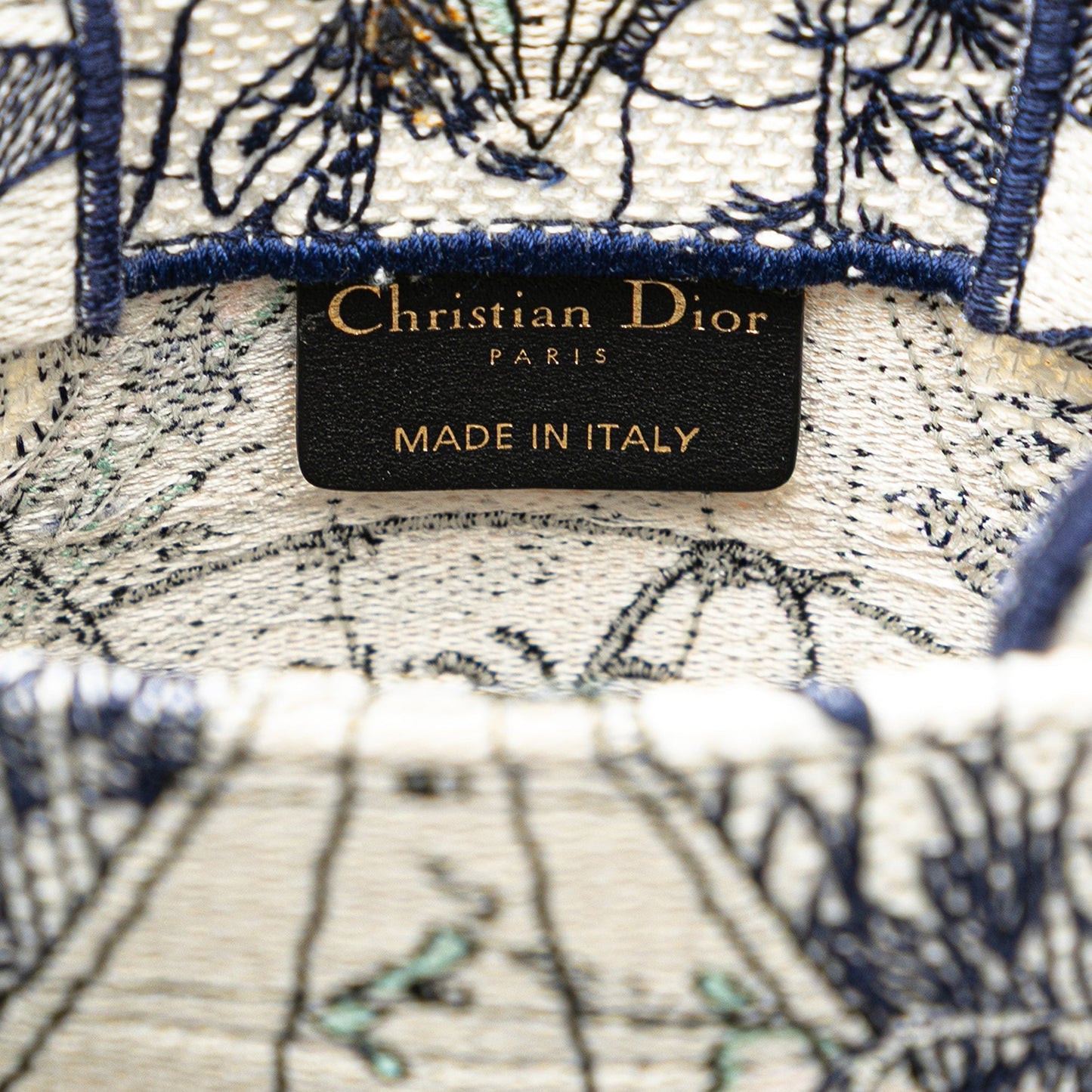 Dior Embroidered Canvas Around The World Vertical Book Tote Blue