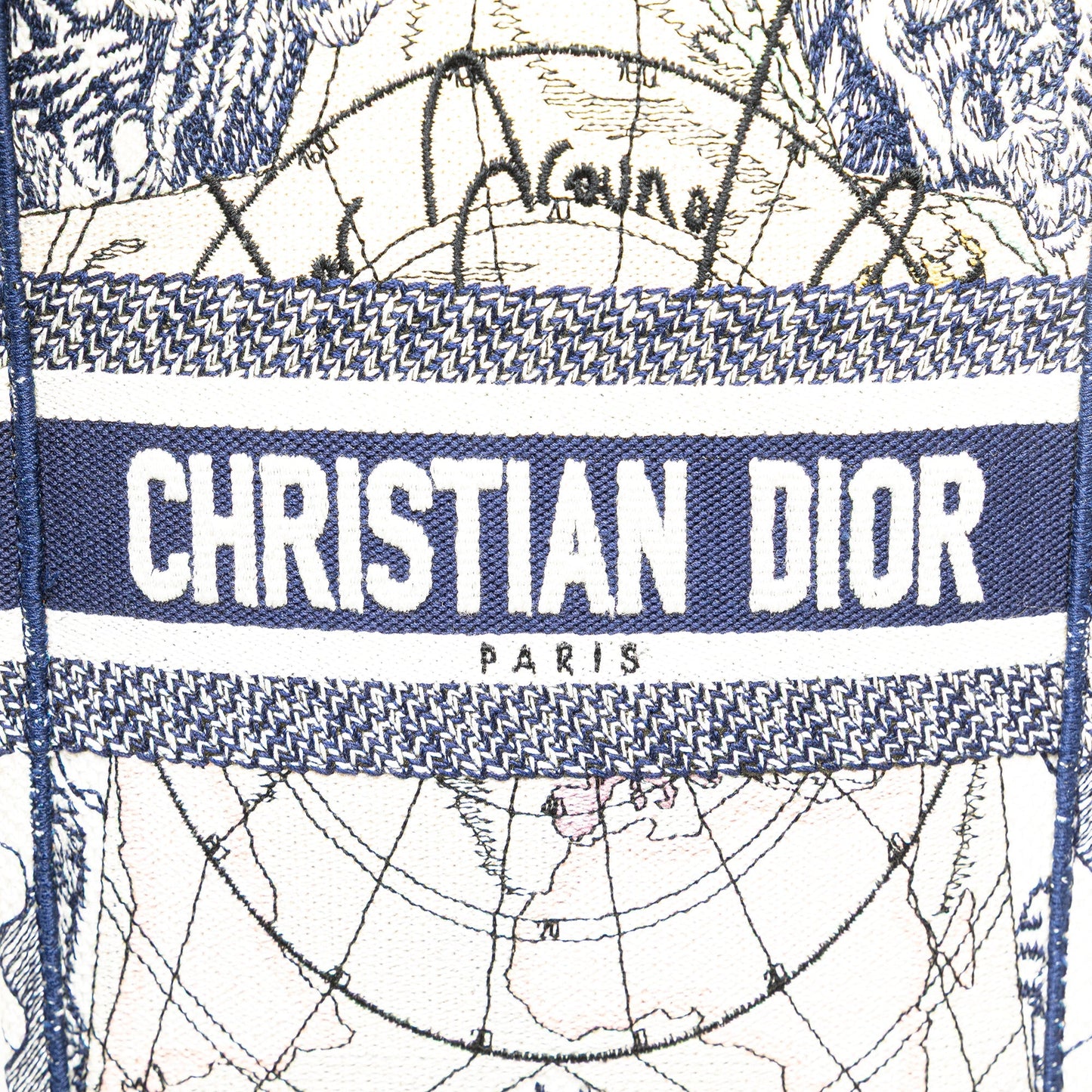 Dior Embroidered Canvas Around The World Vertical Book Tote Blue