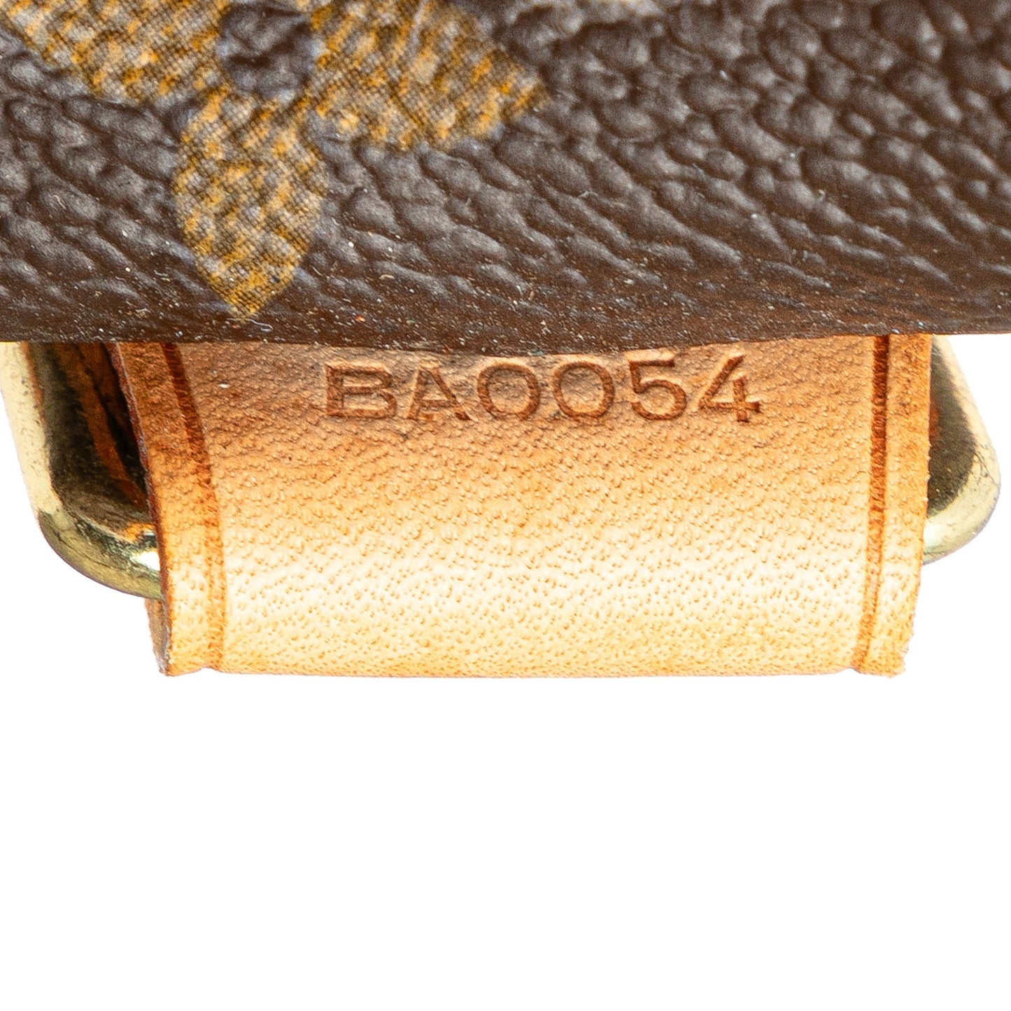 Louis Vuitton Monogram Alma Voyage MM Brown