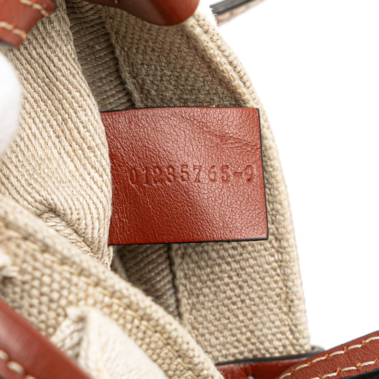 Chloé Mini Canvas Woody Satchel Brown