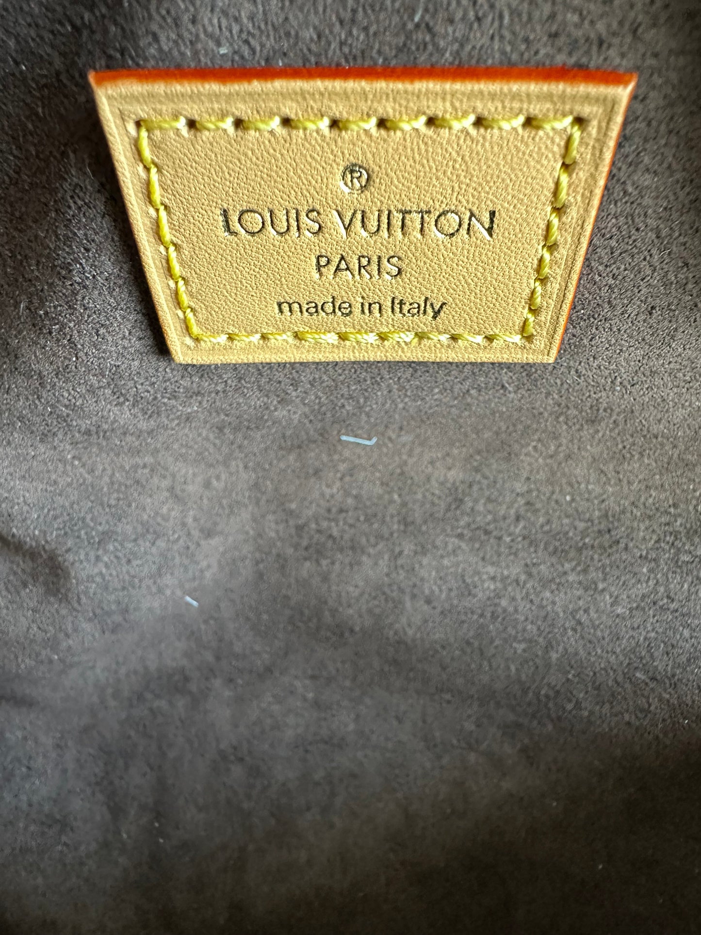 Louis Vuitton Brown Monogram Mini Bumbag