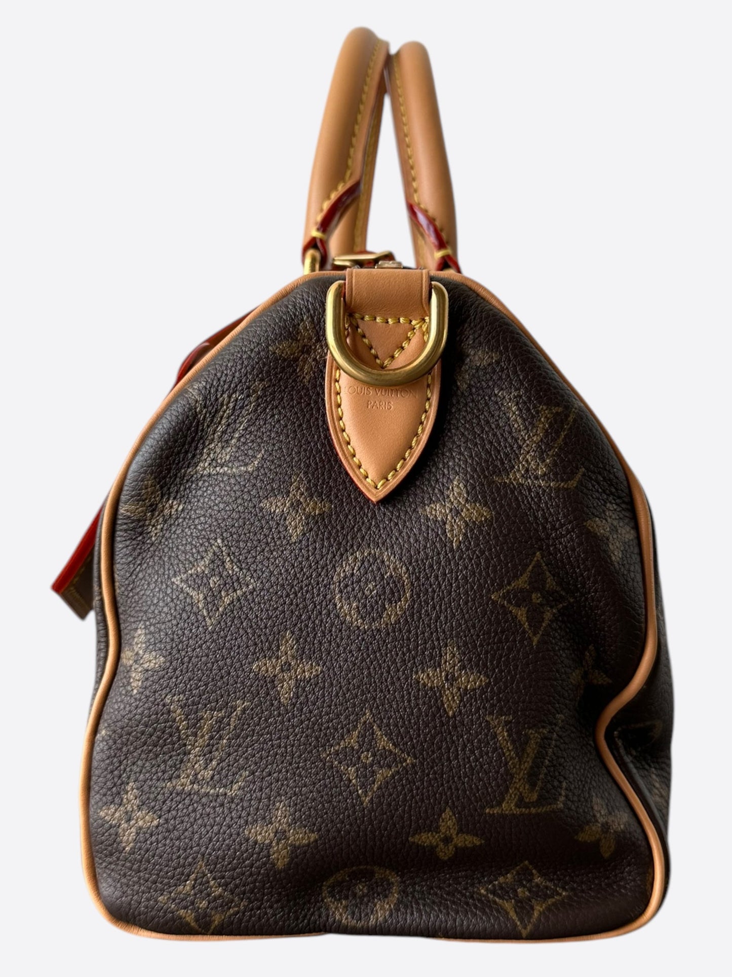 Louis Vuitton Brown Monogram P9 Speedy 25