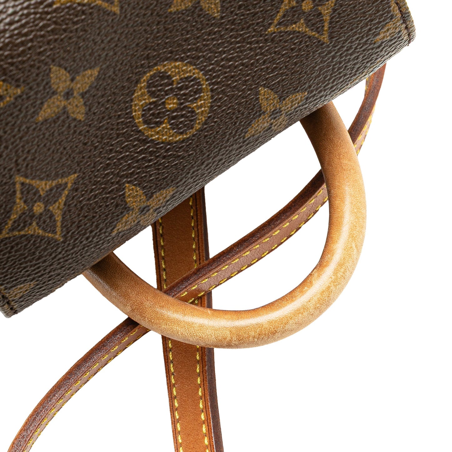 Louis Vuitton Monogram Mini Montsouris Brown