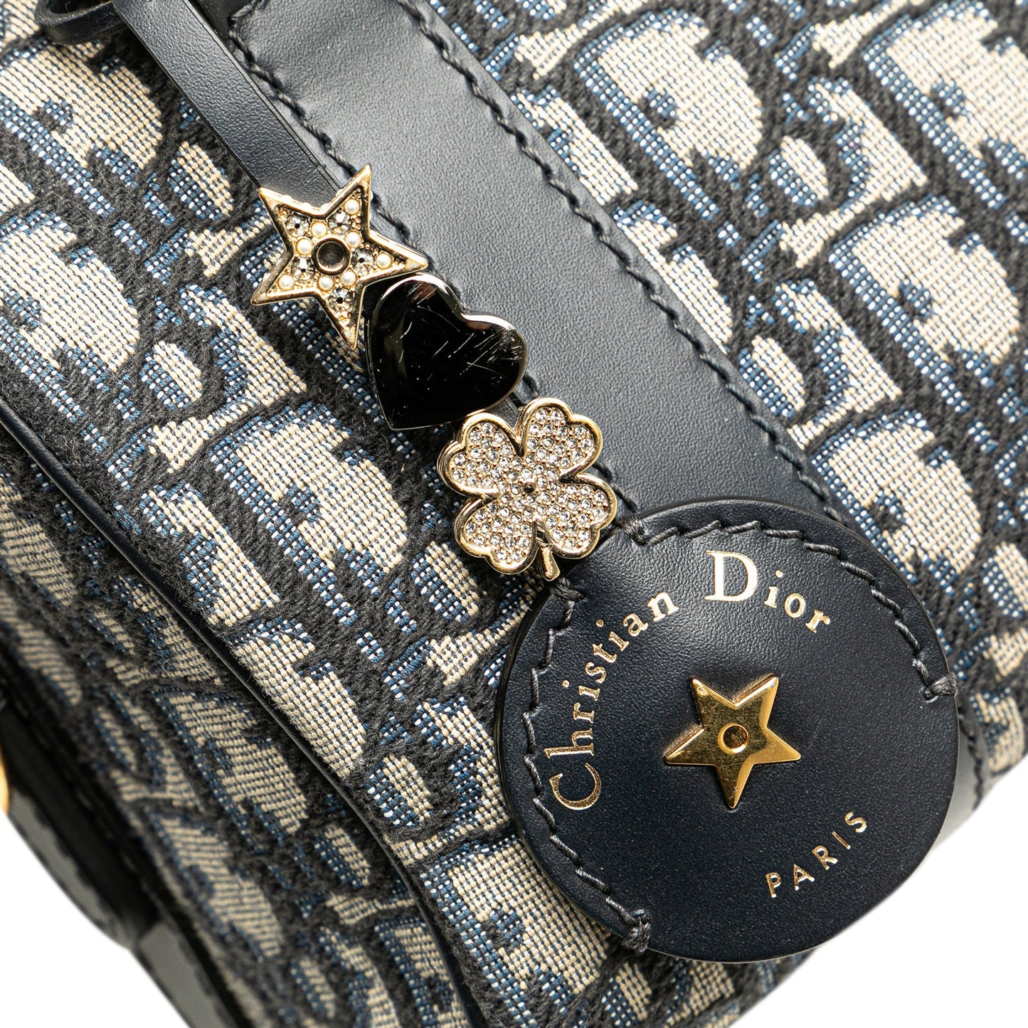 Dior Oblique Canvas Groove 20 Blue