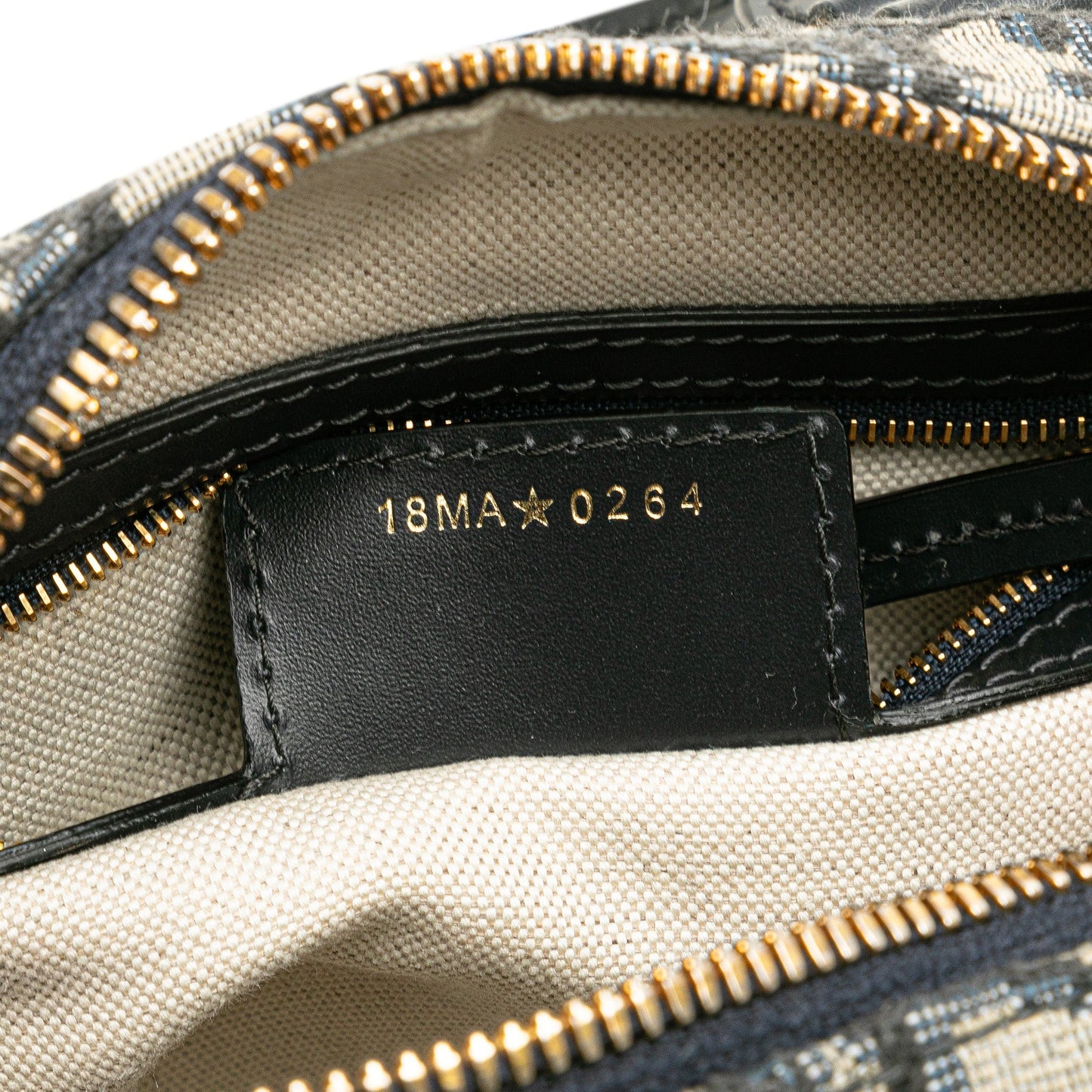 Dior Oblique Canvas Groove 20 Blue