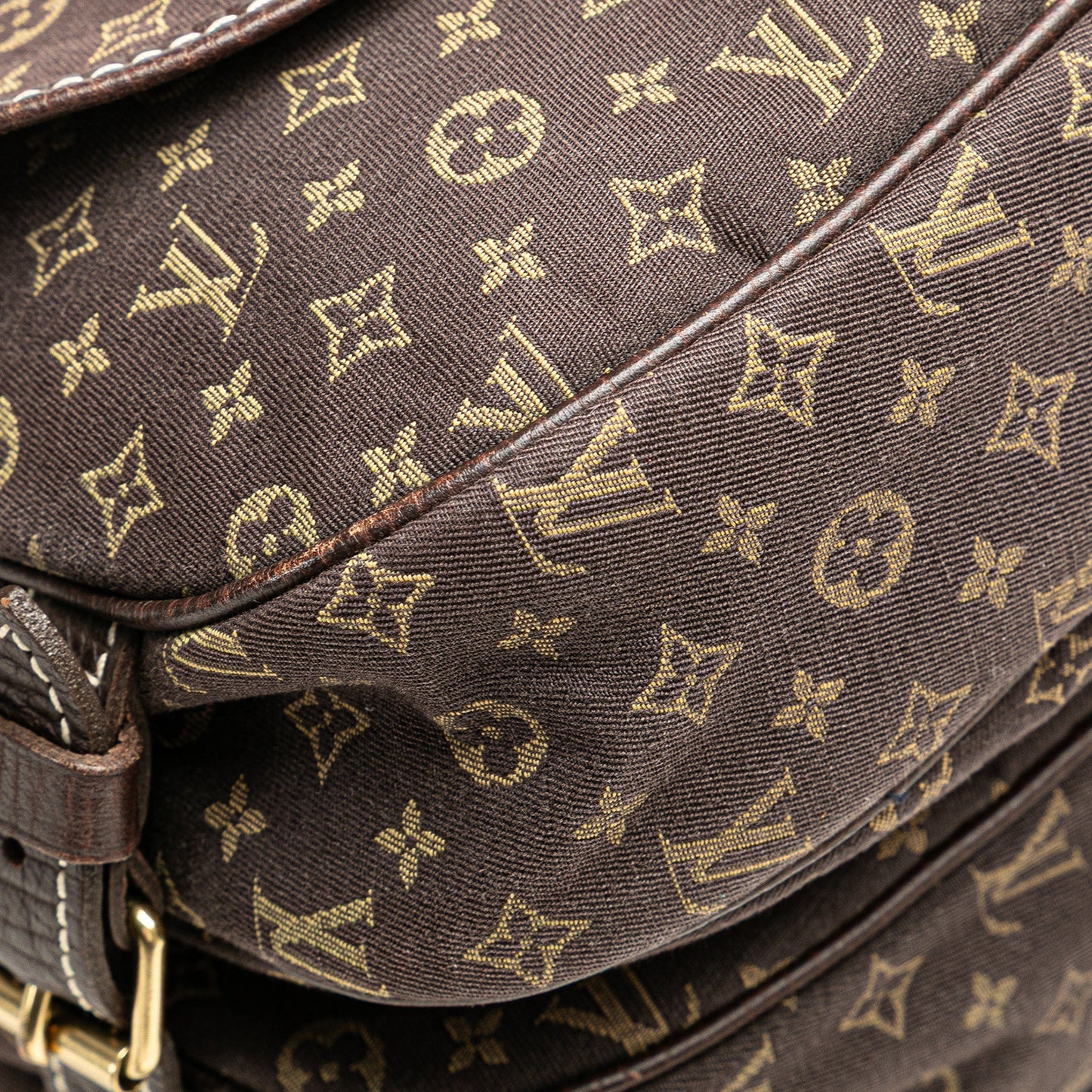 Louis Vuitton Monogram Mini Lin Saumur 30 Brown