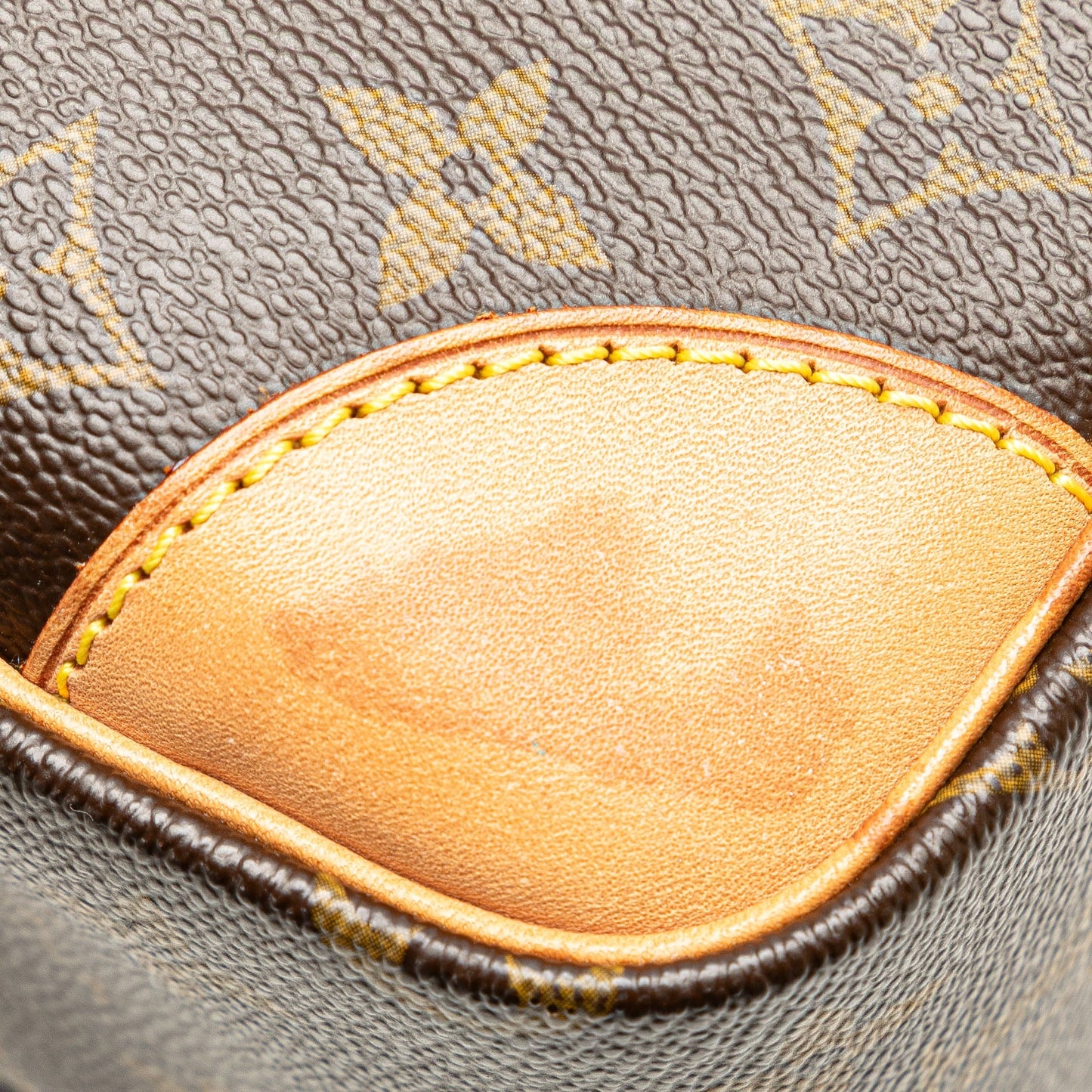 Louis Vuitton Monogram Nil Crossbody Brown