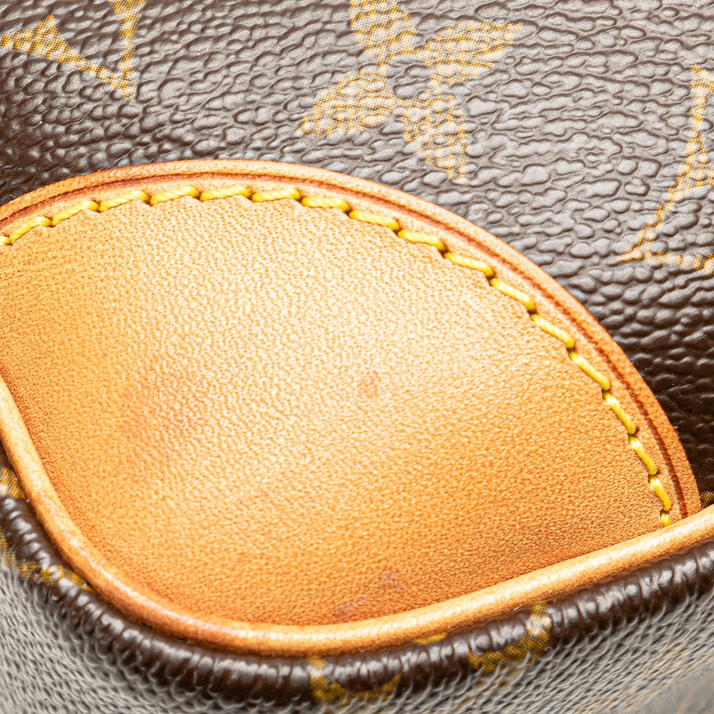 Louis Vuitton Monogram Nil Crossbody Brown