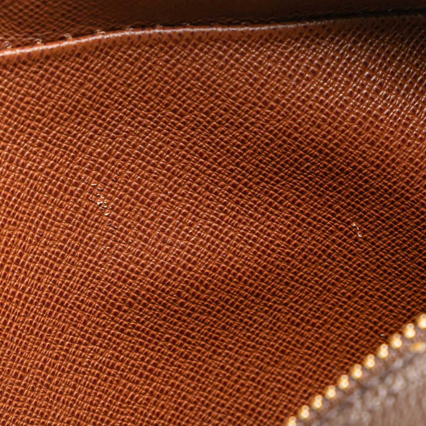 Louis Vuitton Monogram Nil Crossbody Brown