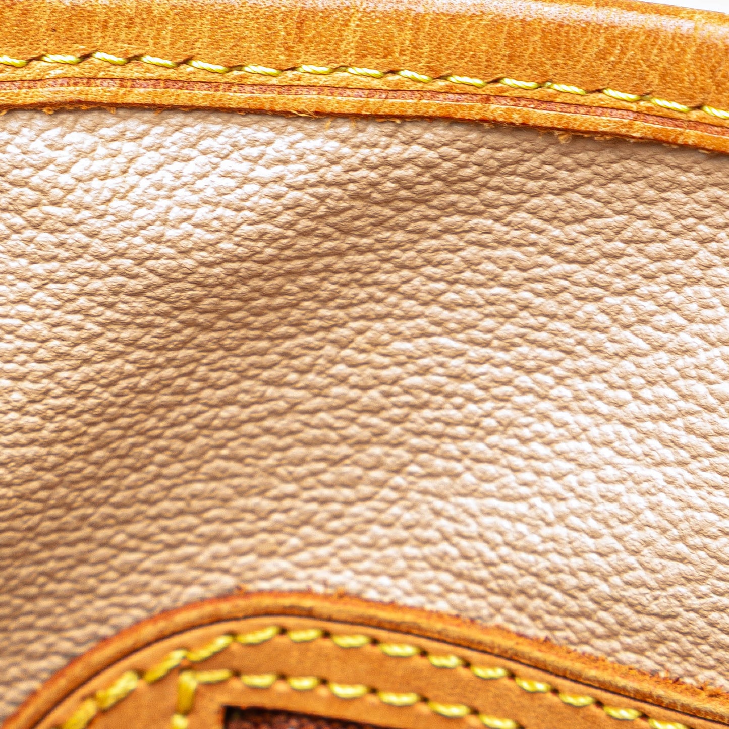 Louis Vuitton Monogram Petit Bucket Brown