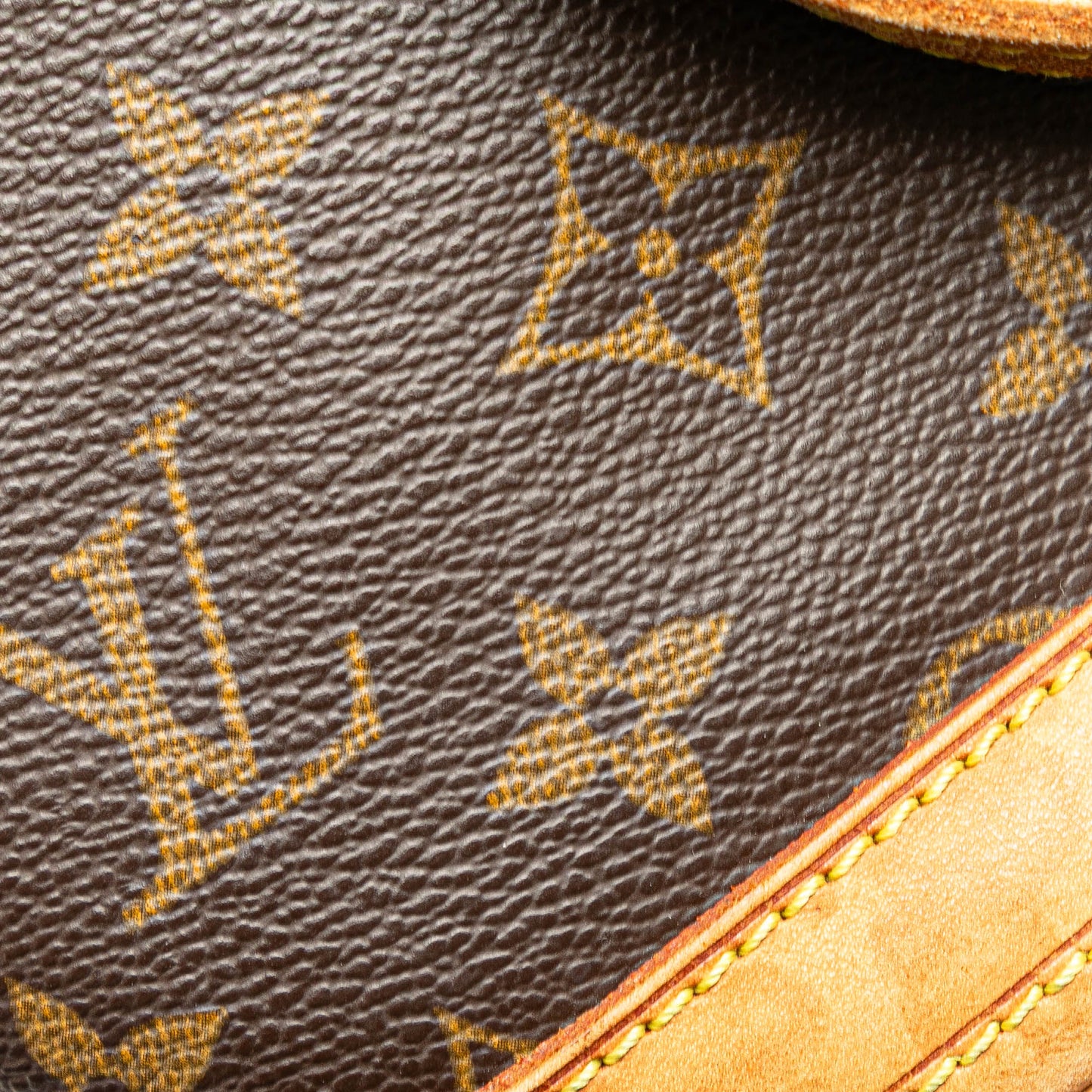 Louis Vuitton Monogram Petit Bucket Brown