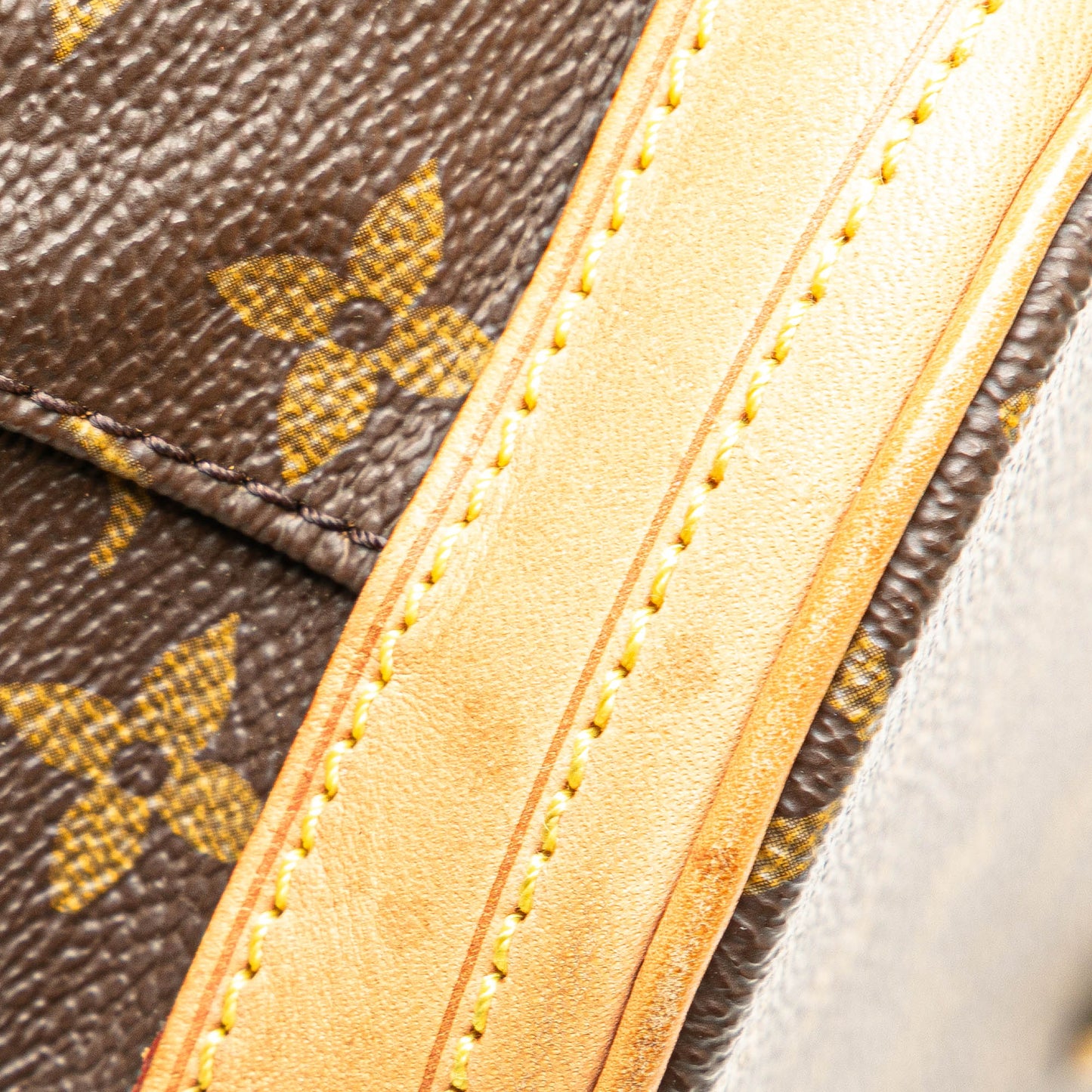 Louis Vuitton Monogram Petit Bucket Brown