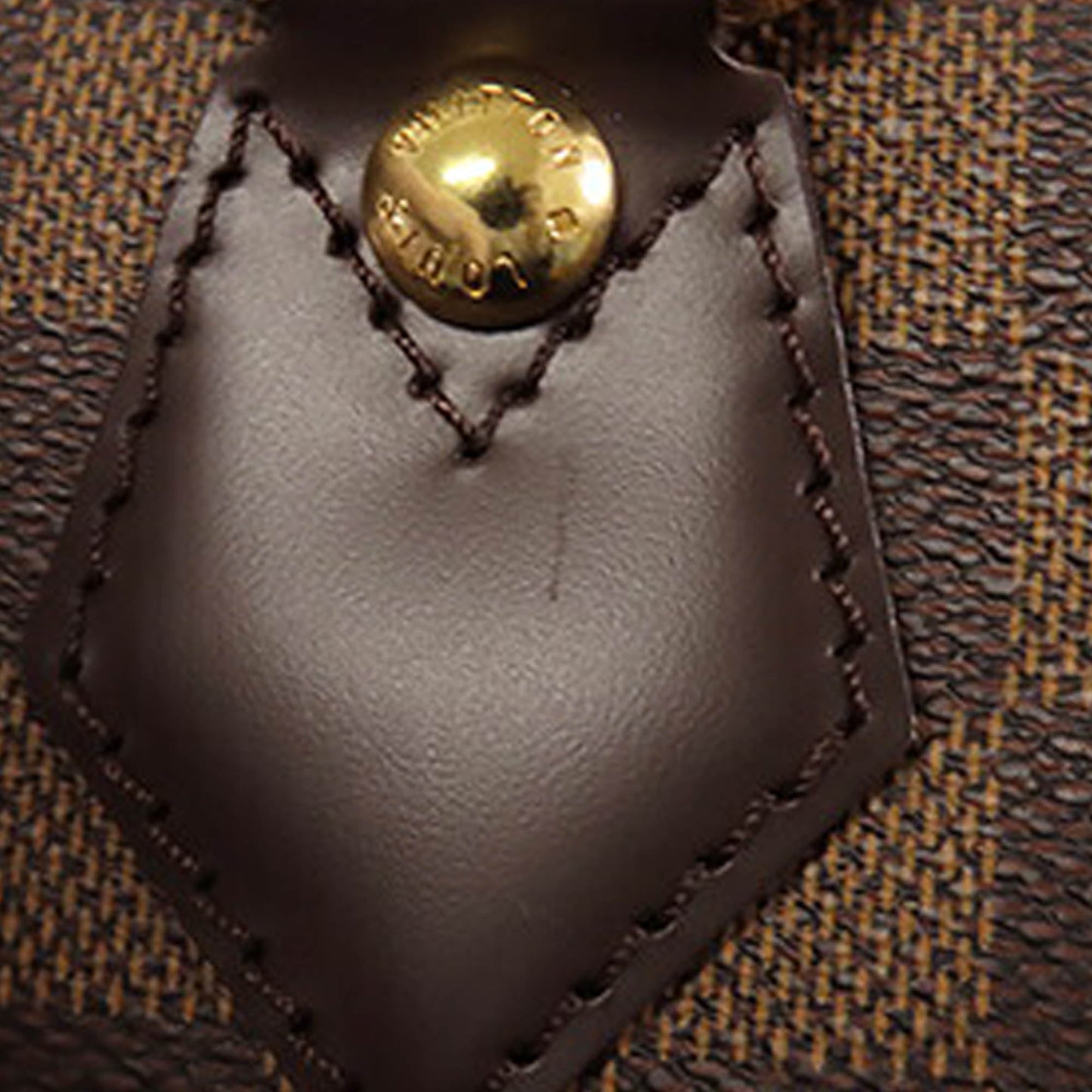 Louis Vuitton Damier Ebene Saleya PM Brown